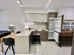 The Florence Residences (D19), Apartment #562924321